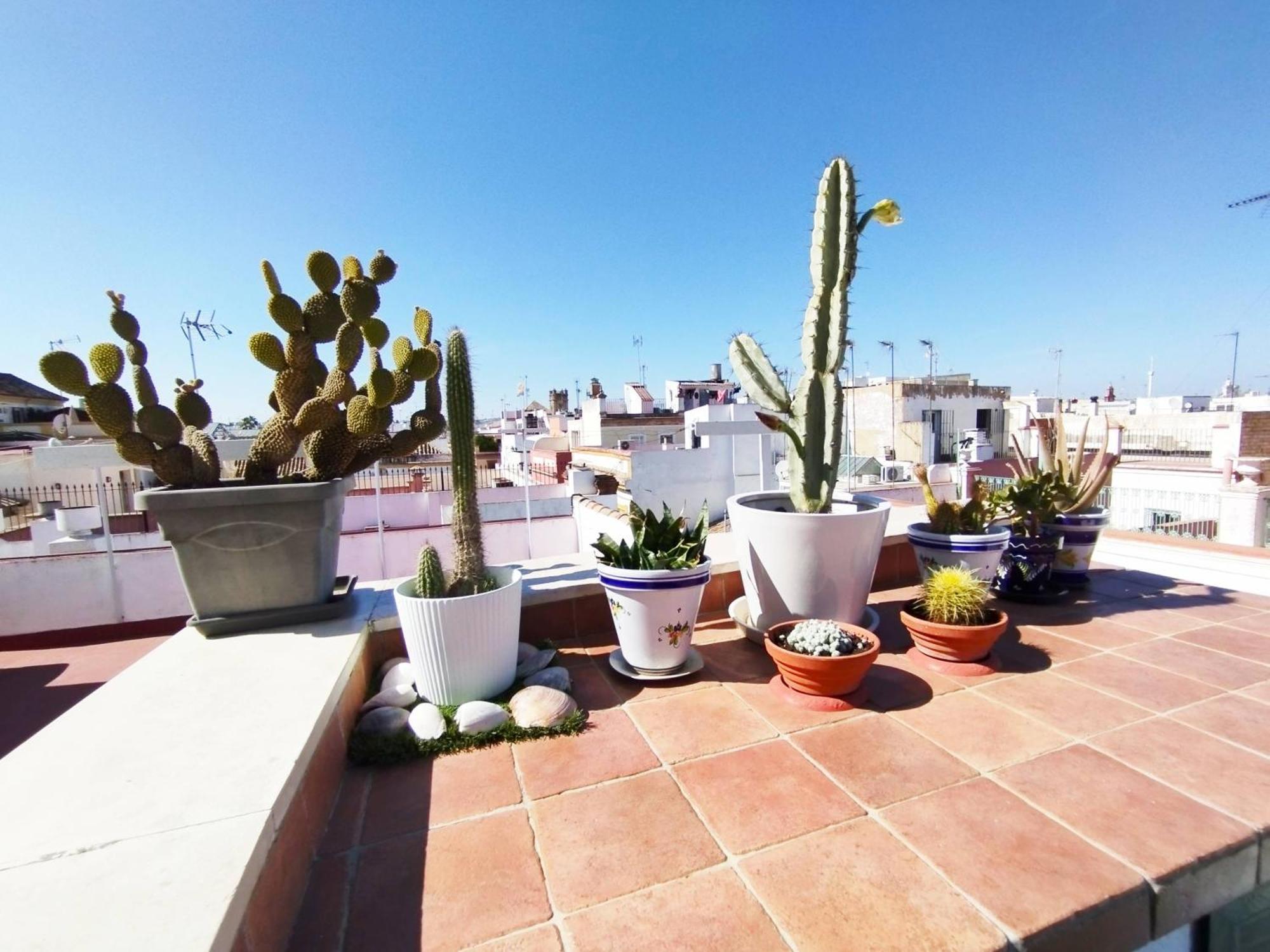 Casa Gavidia - Duplex With Panoramic View Apartment Seville Exterior photo